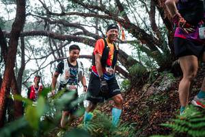 BIB: 
                            <button type="button" onclick="openModal(26295861)" class="btn btn-primary btn-sm float-right btn-popup" data-toggle="modal" data-target=".modal-high-quality">
                        <i class="fas fa-shopping-cart"></i> Add to Cart
                    </button>
                                            <button type="button" onclick="isThisMe(26295861, true)" class="btn btn-success btn-sm float-right btn-popup btn-isme hidden" data-toggle="tooltip" data-placement="bottom" title="นี่คือรูปของคุณใช่ไหม คลิกที่นี่เพื่อเอาเข้าอัลบั้ม">
                        <i class="fas fa-plus"></i> Add to album
                    </button>
                    <button type="button" onclick="isThisMe(26295861, false)" class="btn btn-warning btn-sm float-right btn-popup btn-isnotme hidden">
                        <i class="fas fa-ban"></i> Remove from album
                    </button>